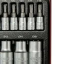 1/4 + 1/2" TX Steckschlüssel-Garnitur - 5
