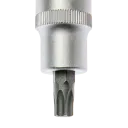 1/2" TX Schraubendreher-Einsatz - 3