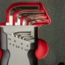 Module: Sets of pen refills. - 5