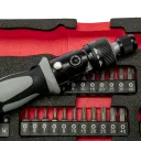 Modul Ratschenschraubendreher-Garnitur - 6