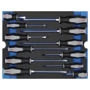 Modul Schraubendreher - 1